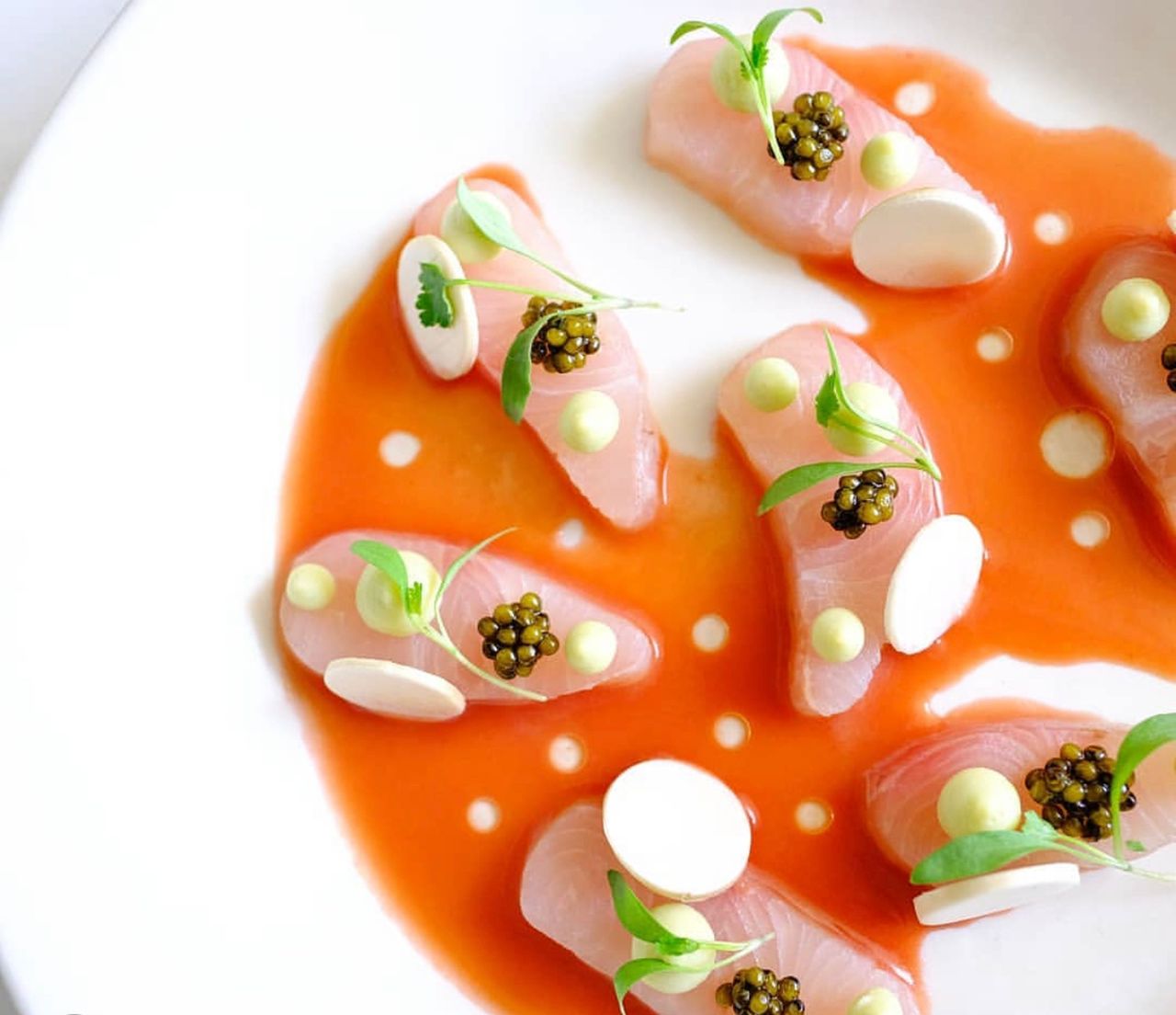 Live Chilled Amberjack (Kanpachi)