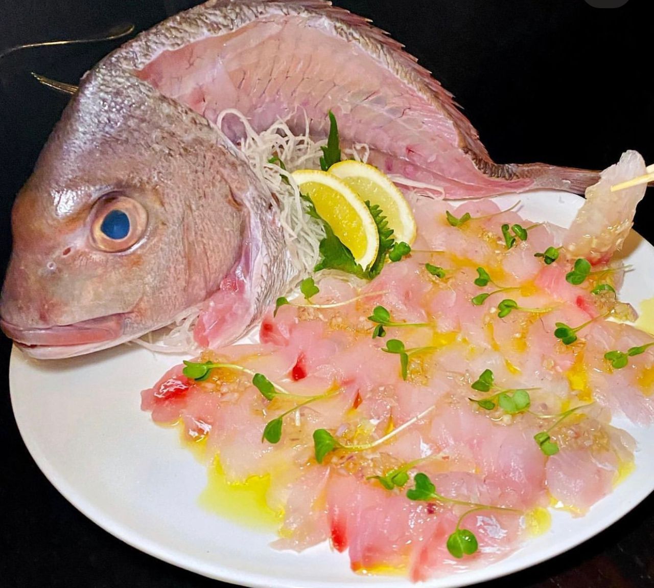 Live Chilled Ikejime Sea Bream (Madai) From Ehime 真鯛
