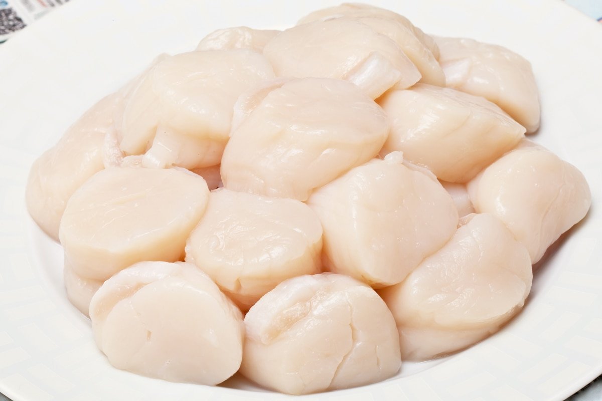 Frozen Scallops (Senrei) Without Shell Sashimi Grade (M Size) 1Kg (36