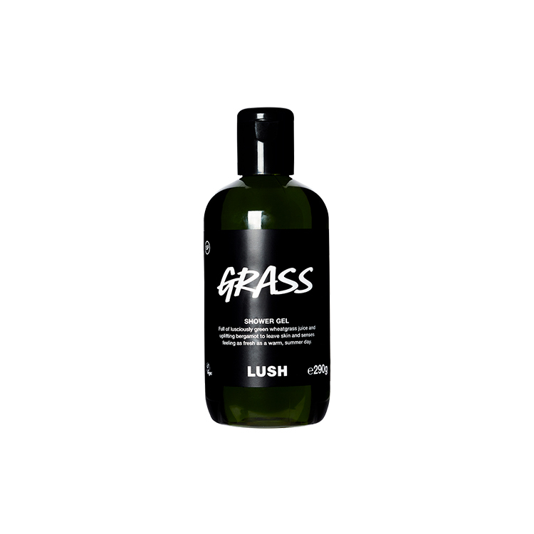 Grass