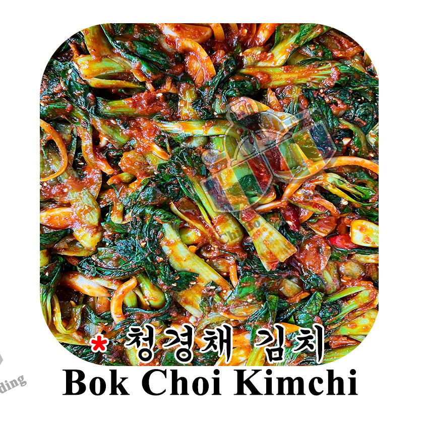 Bok Choy Kimchi 청경채 김치 (Muslim friendly)