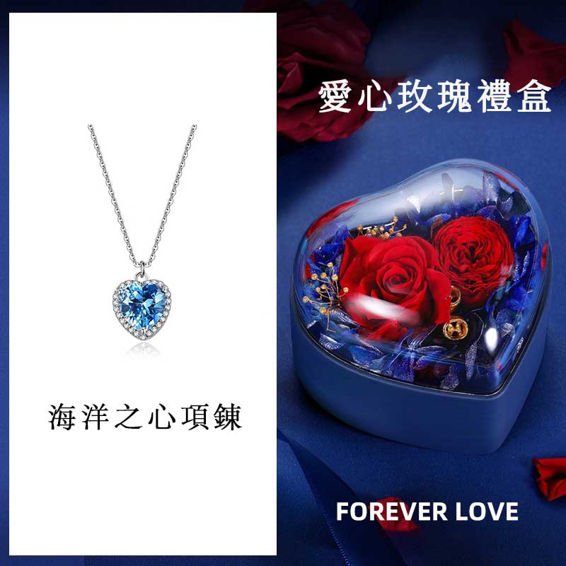 海洋之心-FANYIACC