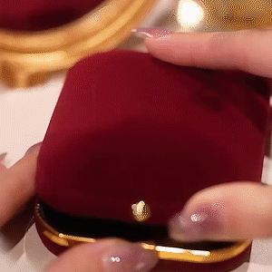 玫瑰花流蘇耳環-FANYIACC