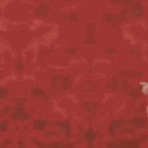 新款復古流蘇盤髮神器-FANYIACC