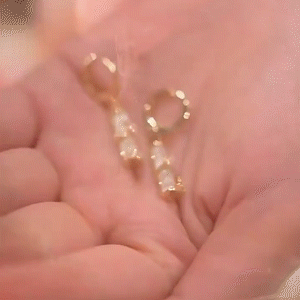 節節高升 竹節耳環-FANYIACC