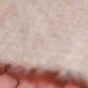 金色萌兔戒指  (Ring)   -FANYIACC