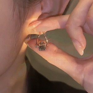 一克拉滿鑽耳環 （Earrings）-FANYIACC