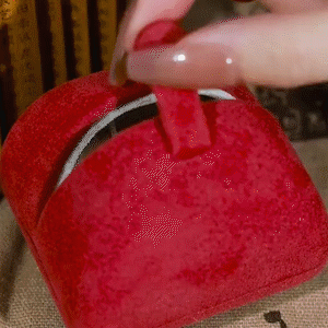 紅色鋯石兔子耳環-FANYIACC