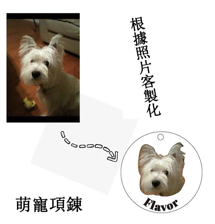 訂製款｜萌寵照片名字diy客製化項錬 貓咪寵物狗紀念飾品-FANYIACC