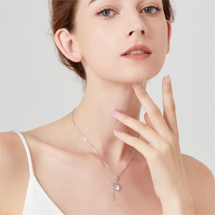 十二星座項錬 | 特別禮物-FANYIACC