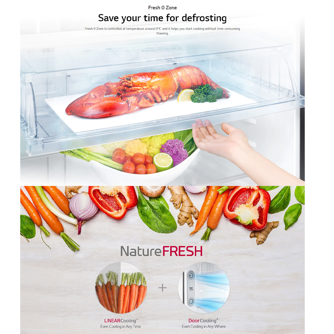 LG 602L 2 Door Top Mount Smart Inverter Refrigerator Matte GR-H802HQHM | Child Lock | Door Cooling | Smart Diagnosis | Door Alarm | Express Freeze | Ice Maker | Refrigerator with 1 Year Warranty