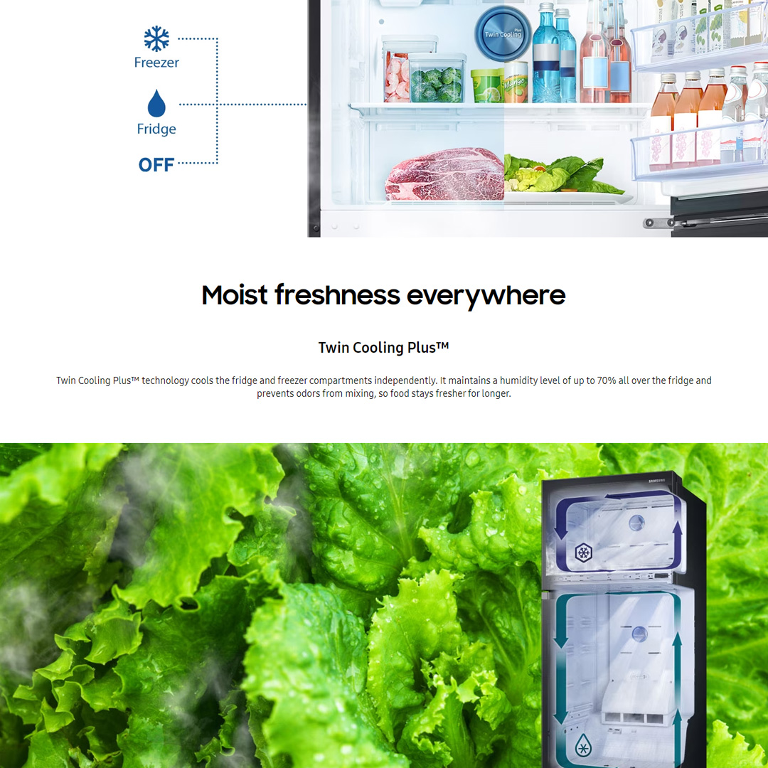 SAMSUNG 670L 2 Doors Top Mount Digital Inverter Refrigerator with Twin Cooling Plus RT21M6211SG/ME | FlexZone™ | Power Cool Function | Reversible Door | Twin Cooling Plus™ | Refrigerator with 1 Year Warranty