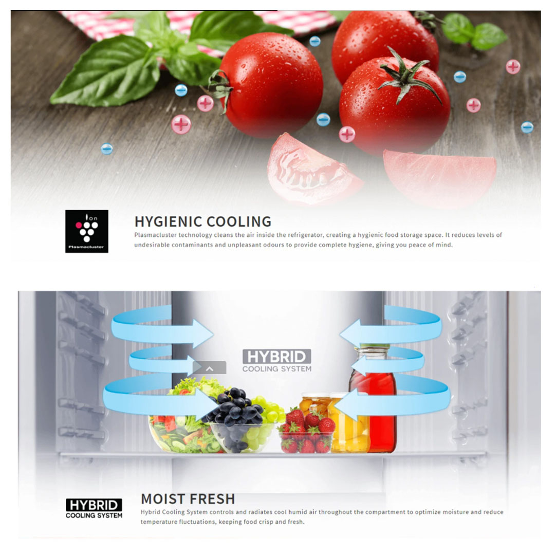 SHARP 440L 2 Doors Top Mount J-Tech Inverter Pelican Refrigerator SJP498GK |  J-Tech Inverter Technology | Internal Temperature Control | Extra Cool | Express Freezing | Child Lock | Door Alarm | Ice Maker | Refrigerator with 1 Year Warranty