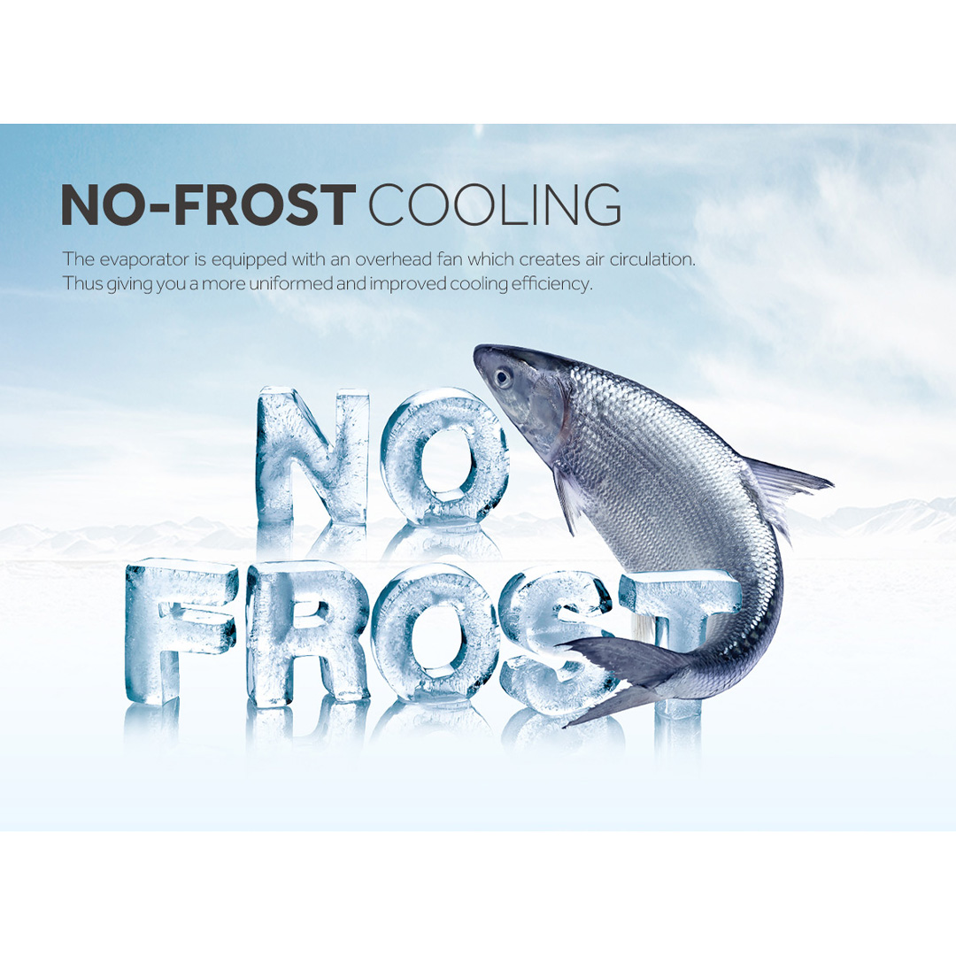 HAIER 250L Upright Freezer BD-248WL | Top LED | Anti-Bacteria | Child Lock | Fast Freezing | Eco Mode | Alarm Indicator | Digital Control | Chest Freezer with 2 Year Warranty