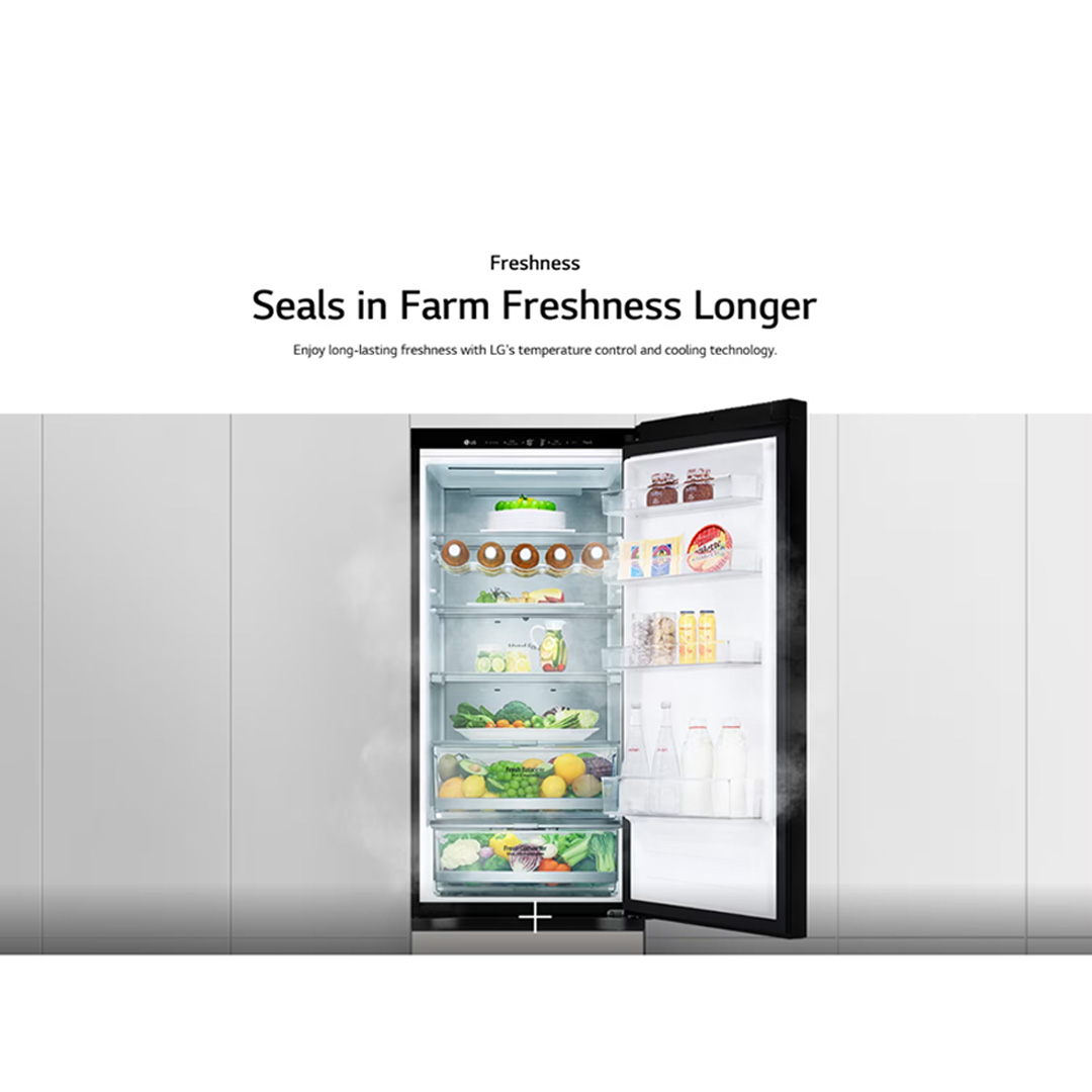 LG 341L 2 Doors Bottom Mount Smart Inverter Refrigerator GC-B459QG9D | Linear Cooling+™ | Door Cooling+™ | Metal Fresh™ | Refrigerator with 1 Year Warranty