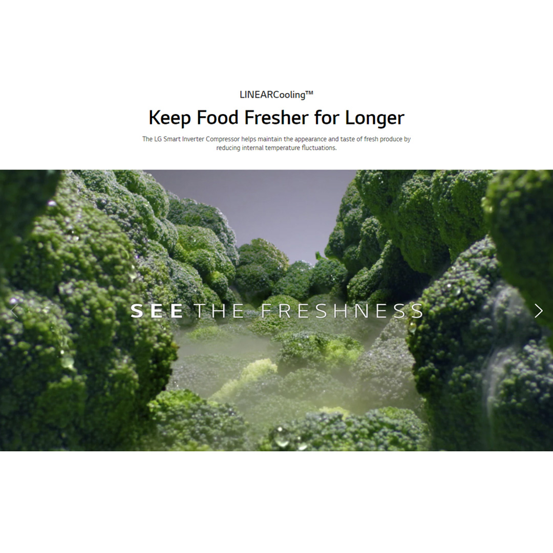 LG 420L 2 Doors Bottom Mount Smart Inverter Refrigerator GC-B529NQCM | FRESHBalancer™ | Multi Air Flow | Moist Balance Crisper | Refrigerator with 1 Year Warranty