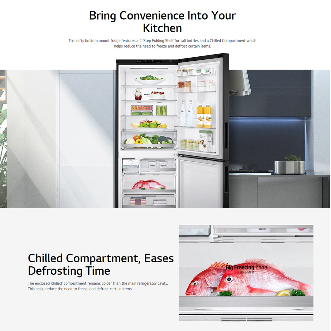 LG 420L 2 Doors Bottom Mount Smart Inverter Refrigerator GC-B529NQCM | FRESHBalancer™ | Multi Air Flow | Moist Balance Crisper | Refrigerator with 1 Year Warranty