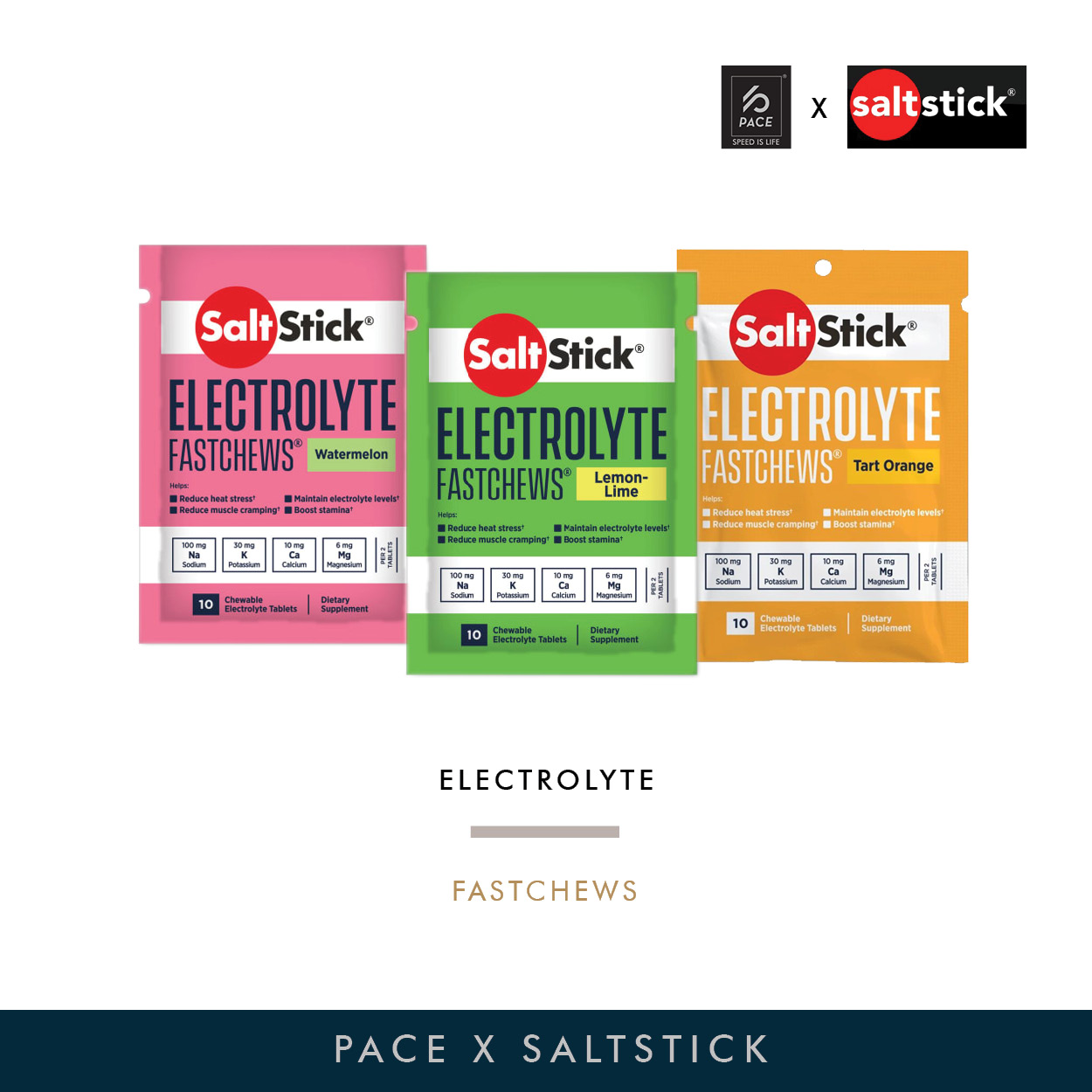 SaltStick Fastchew 10 Tablets Pack