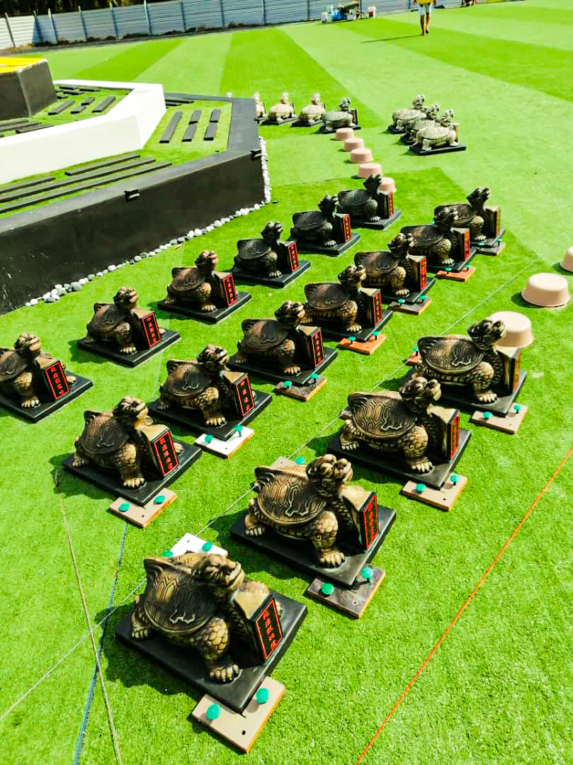 种生基是否可以改命运吗？-风水缘八卦龙龟生基 Feng Shui Connexion