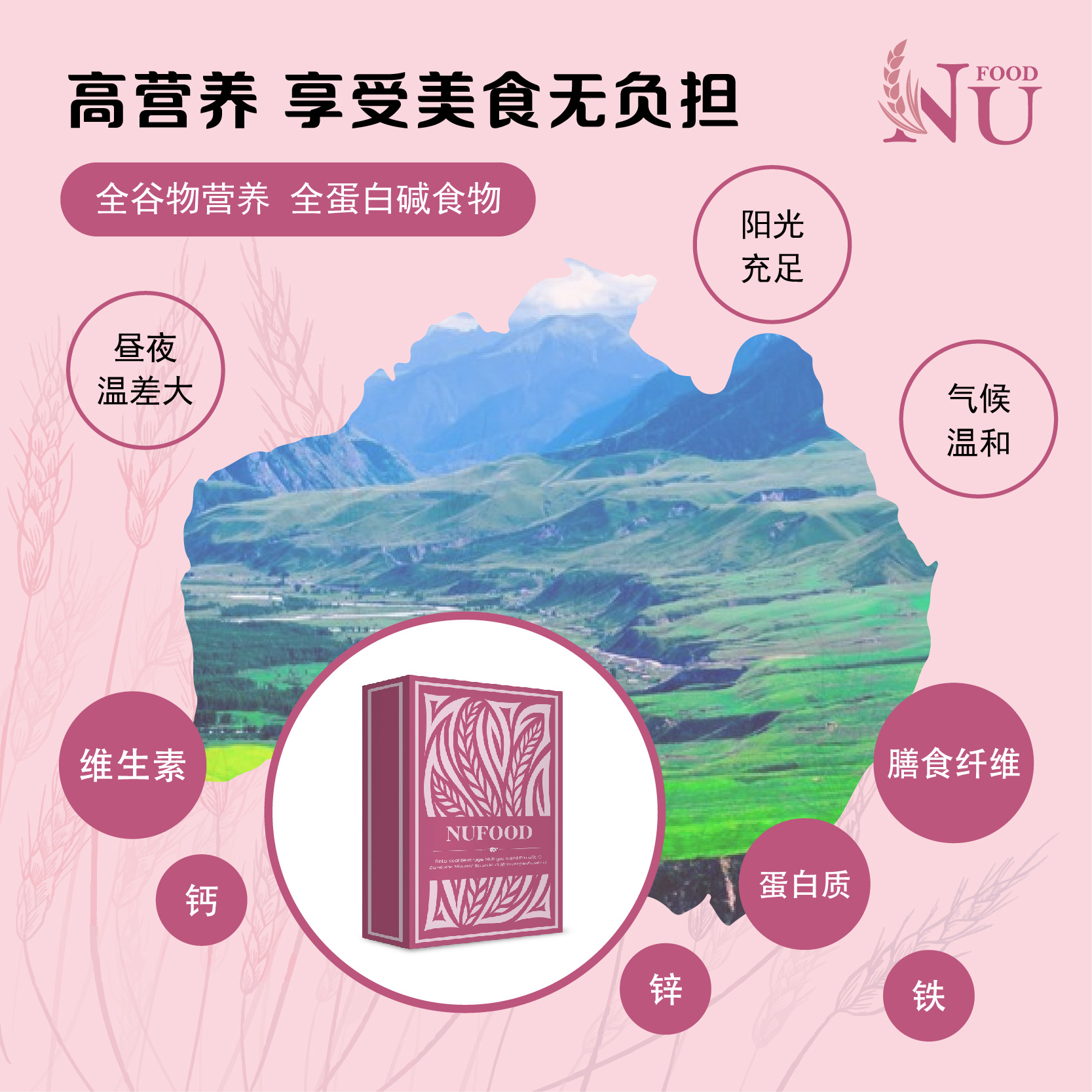 nufood 加速代谢脾胃调理配套1