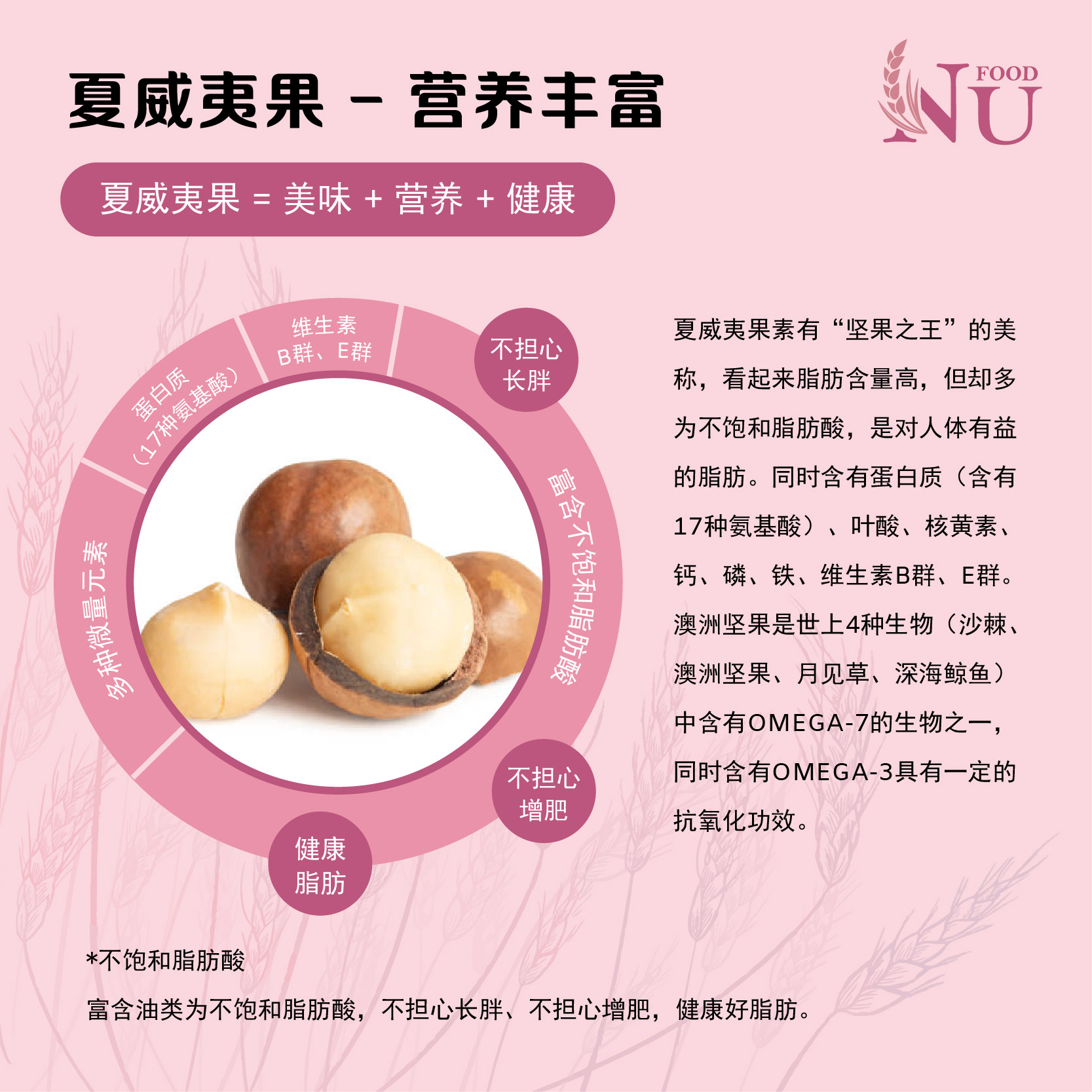 nufood 加速代谢脾胃调理配套1