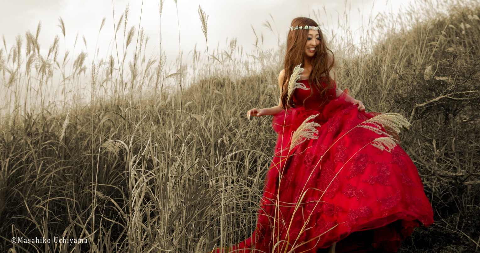 M×N collaboration dress　MN 10011 Red