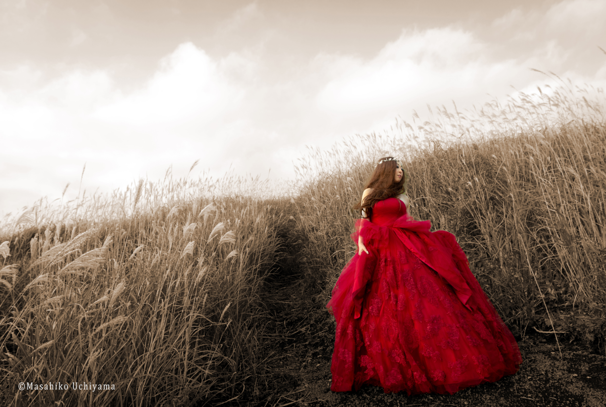 M×N collaboration dress　MN 10011 Red