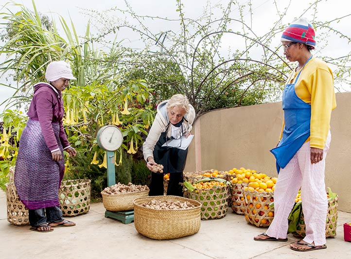 Bernadette de Lavernette history