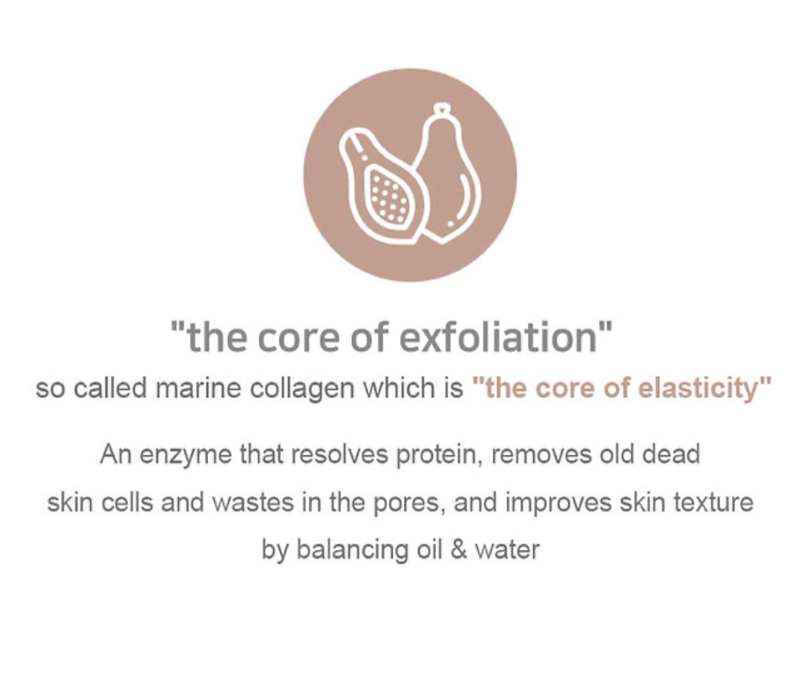 Enzyme Powder Cleanser Wash 80g