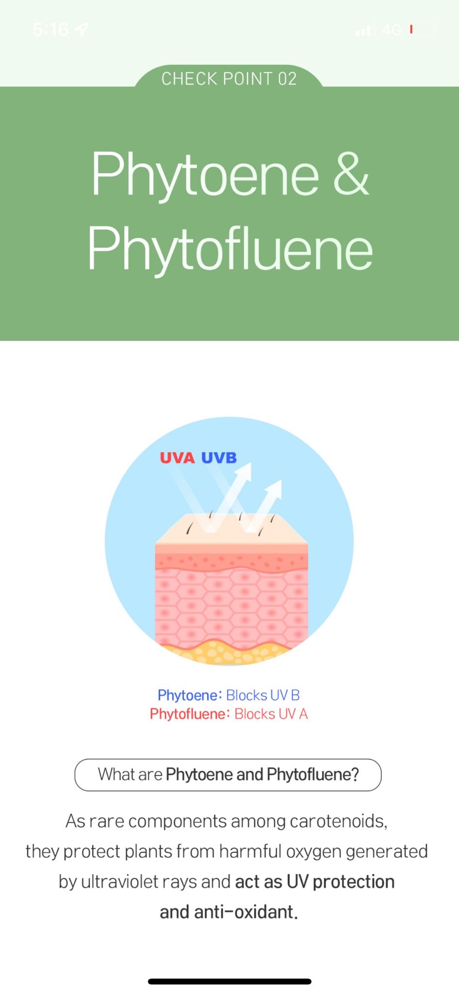 Snow Tomato Powder (Made in Korea)