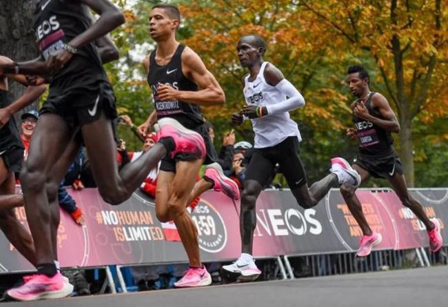 【送料無料】【正規品】Nike Air Zoom Alphafly Next%【代金引換】