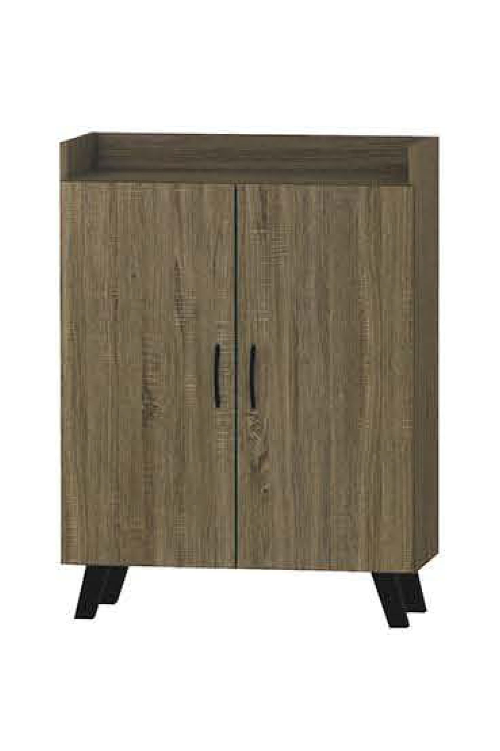 2 Door Shoe Cabinet