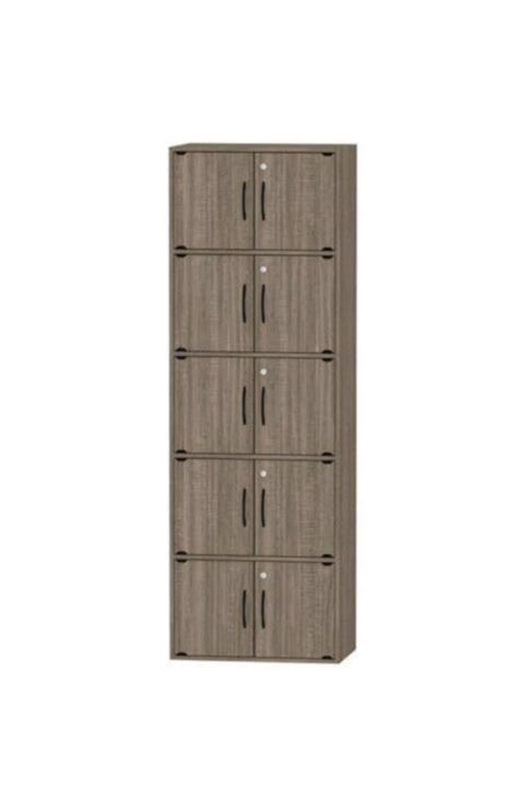 10 Door Multipurpose Cabinet