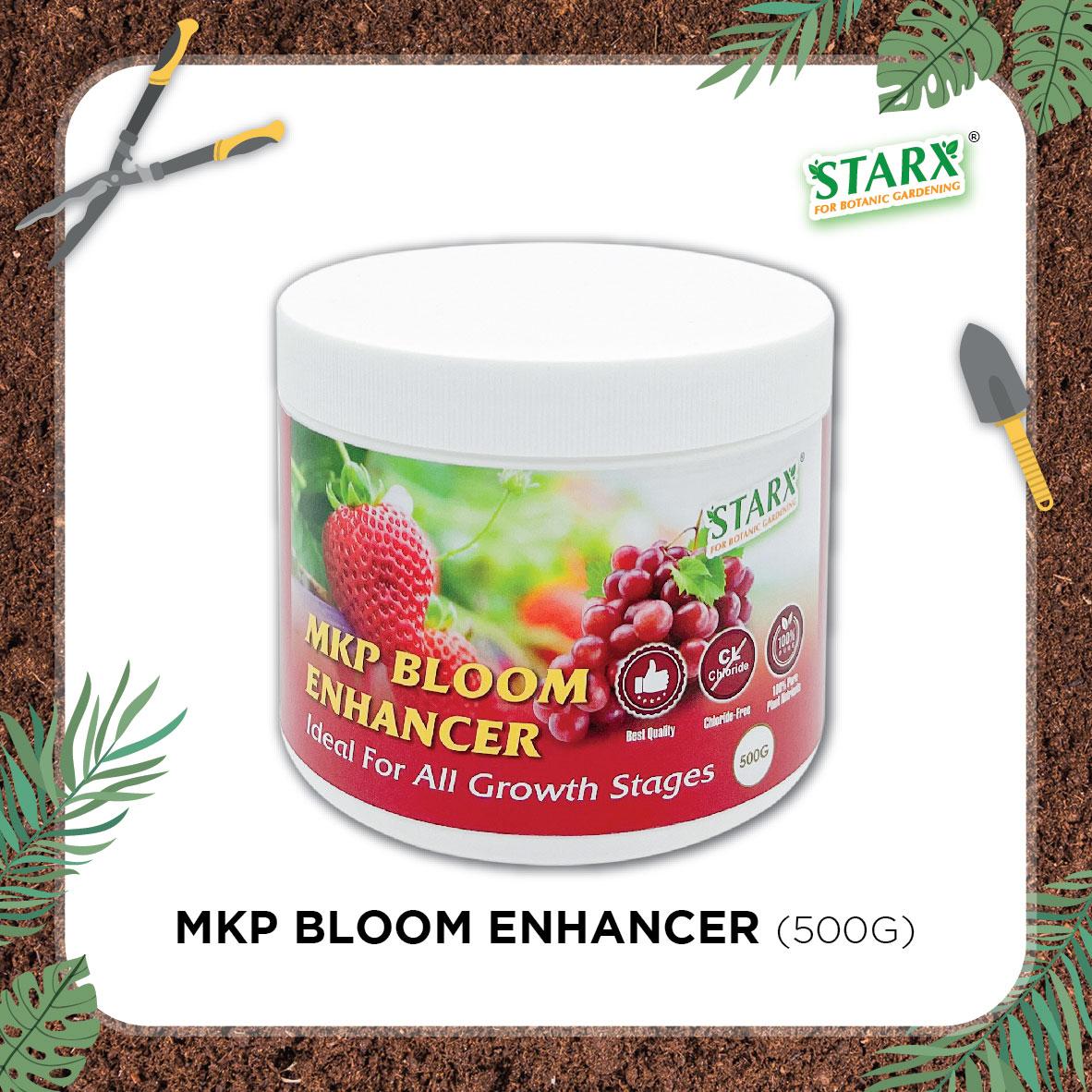 STARX MKP Bloom Enhancer (500g / 1kg)