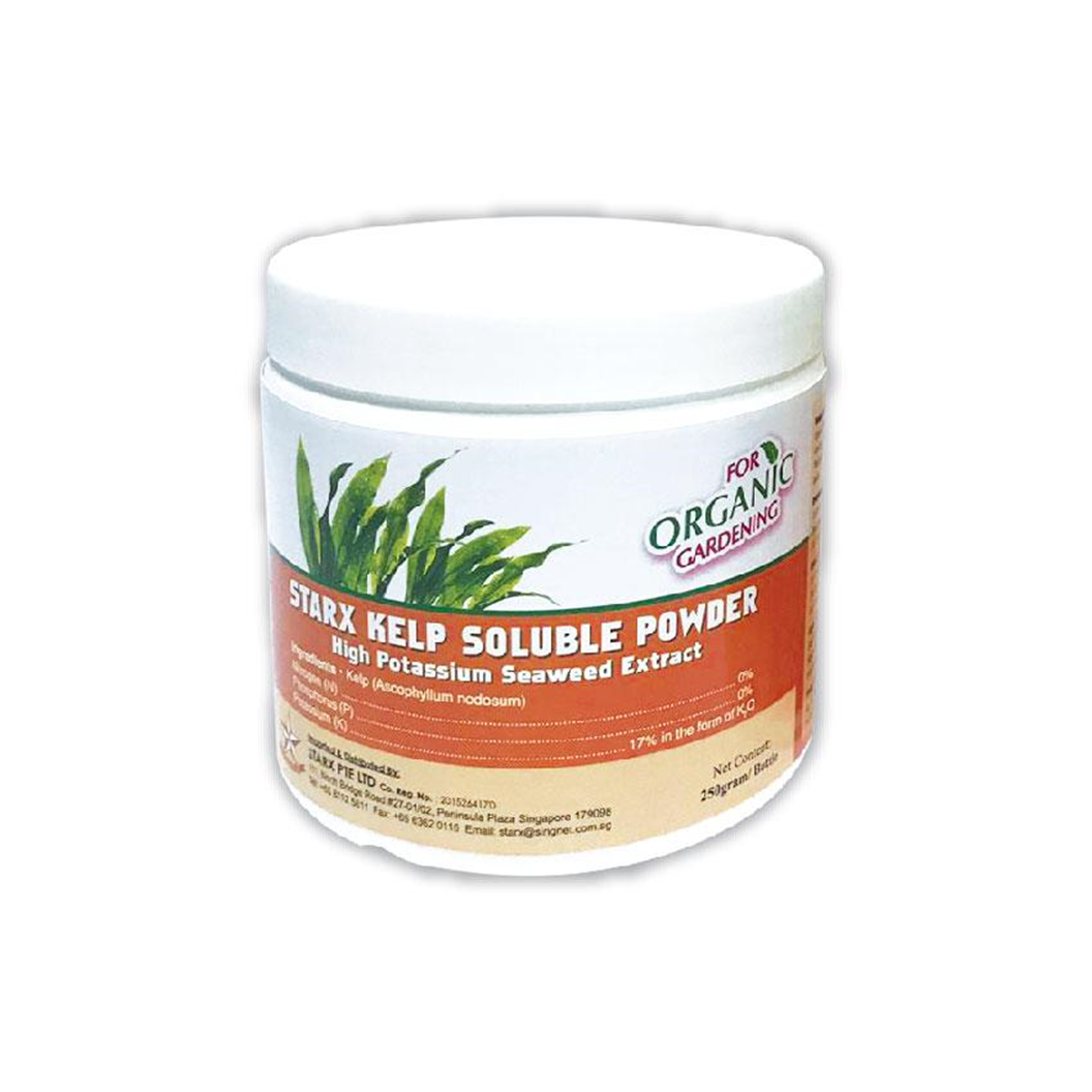 STARX Kelp Soluble Powder High Potassium Seaweed Extract (250g / 800g)