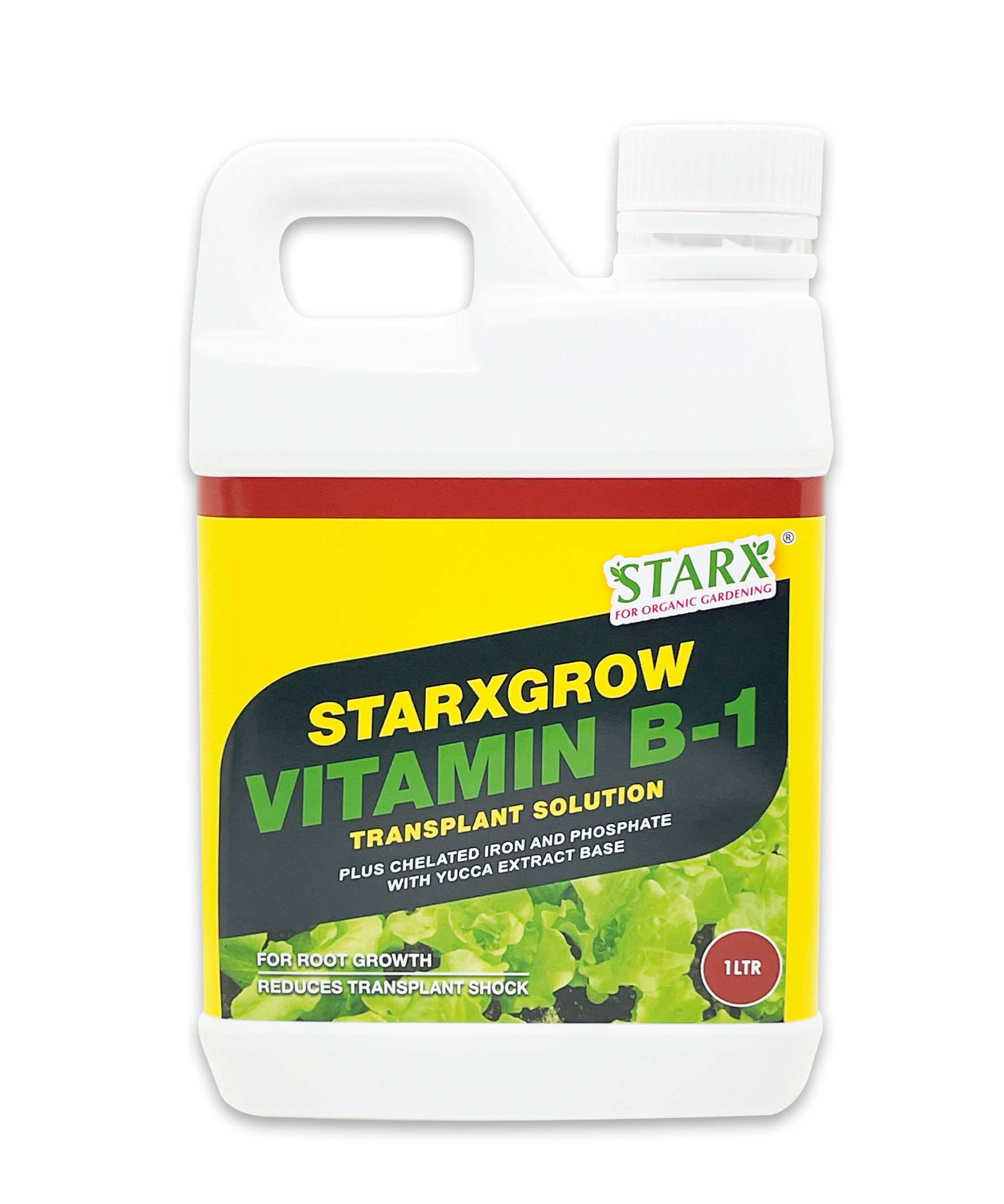 STARXGROW Vitamin B-1 Transplant Solution Concentrated 1L