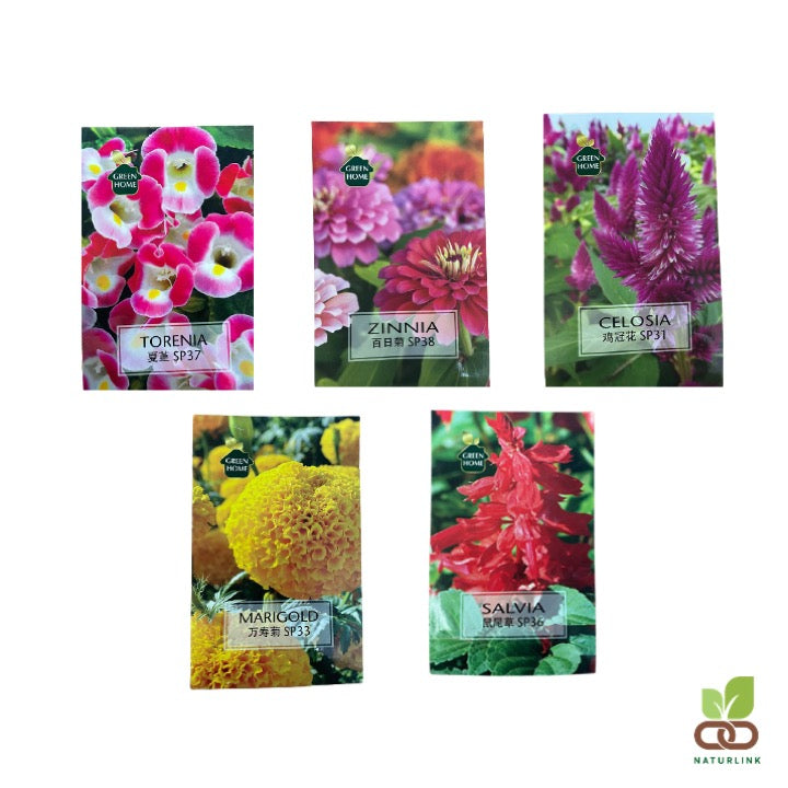 Flower Seeds | 种子 | Celosia | Marigold | Salvia | Torenia | Zinnia