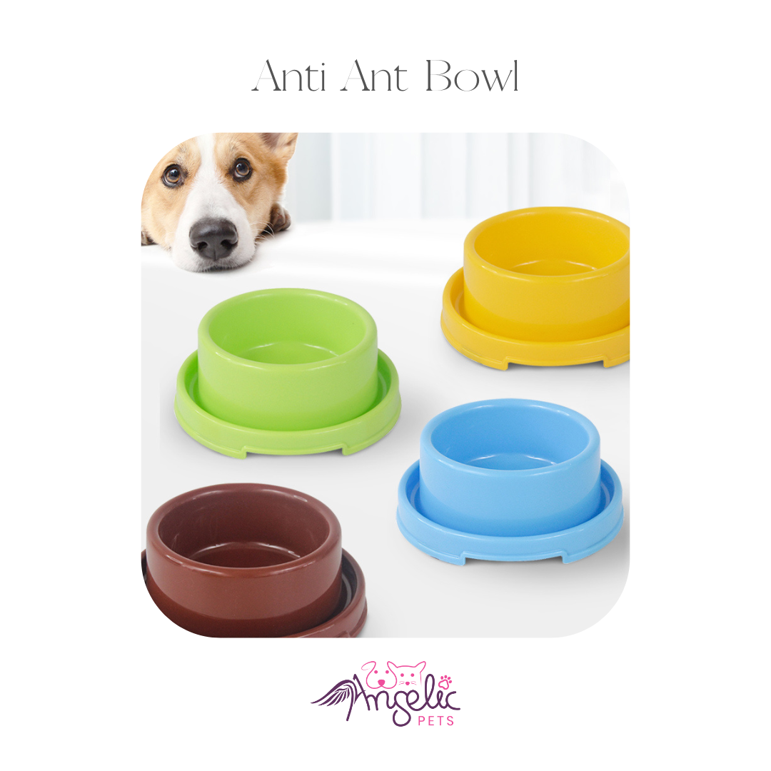 Anti Ant Pet Food Bowl