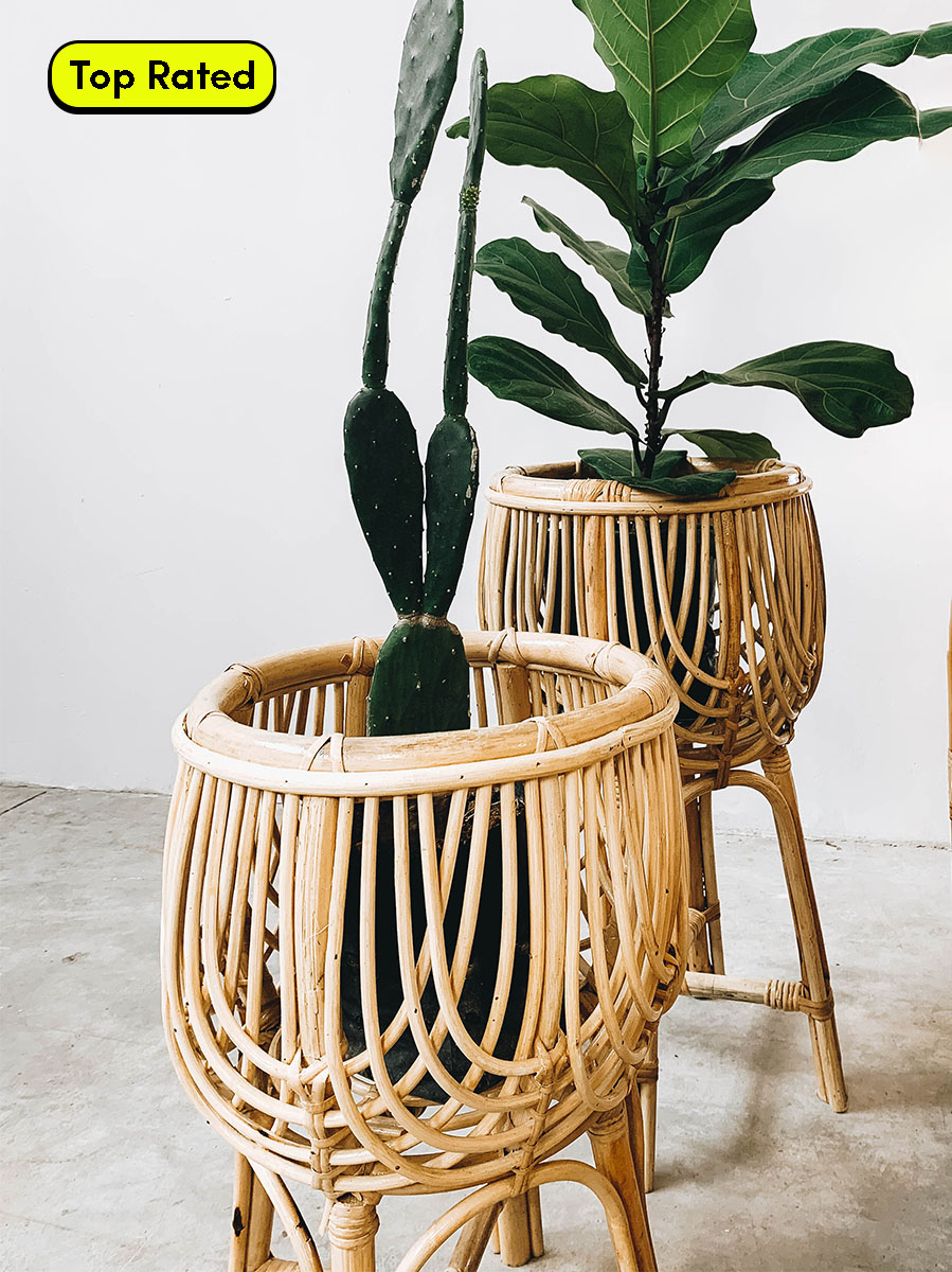 Orchid Rattan Plant Pot