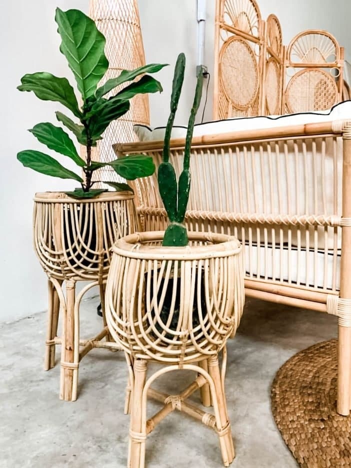 Orchid Rattan Plant Pot