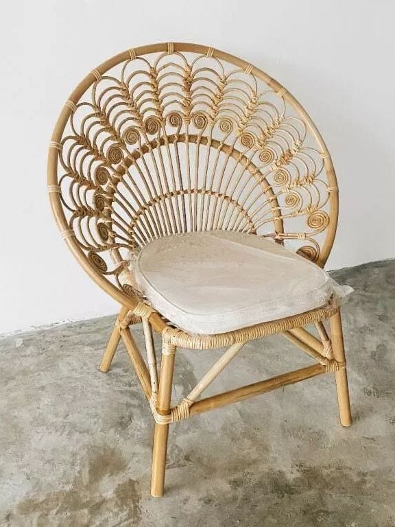 Ardani Rattan Peacock Chair