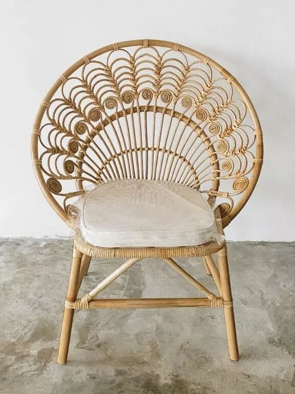 Ardani Rattan Peacock Chair
