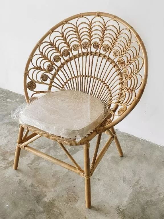 Ardani Rattan Peacock Chair