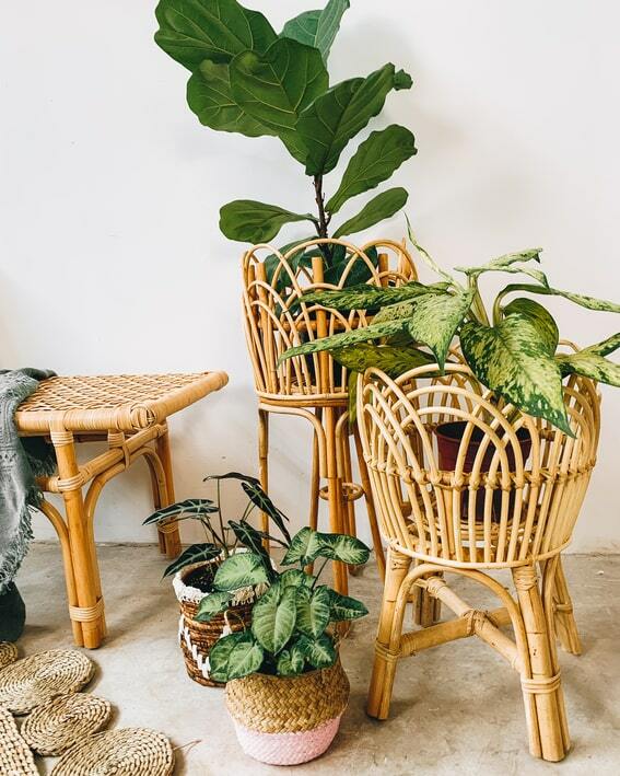 Lily Rattan Plant Pot