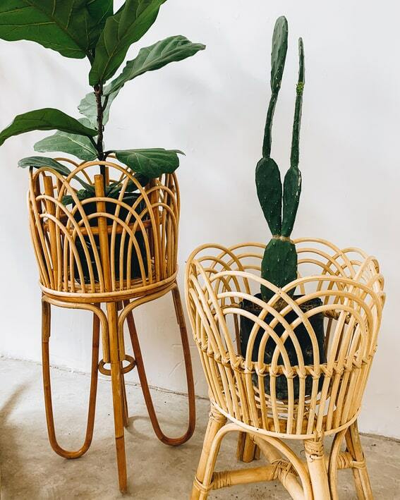 Lily Rattan Plant Pot