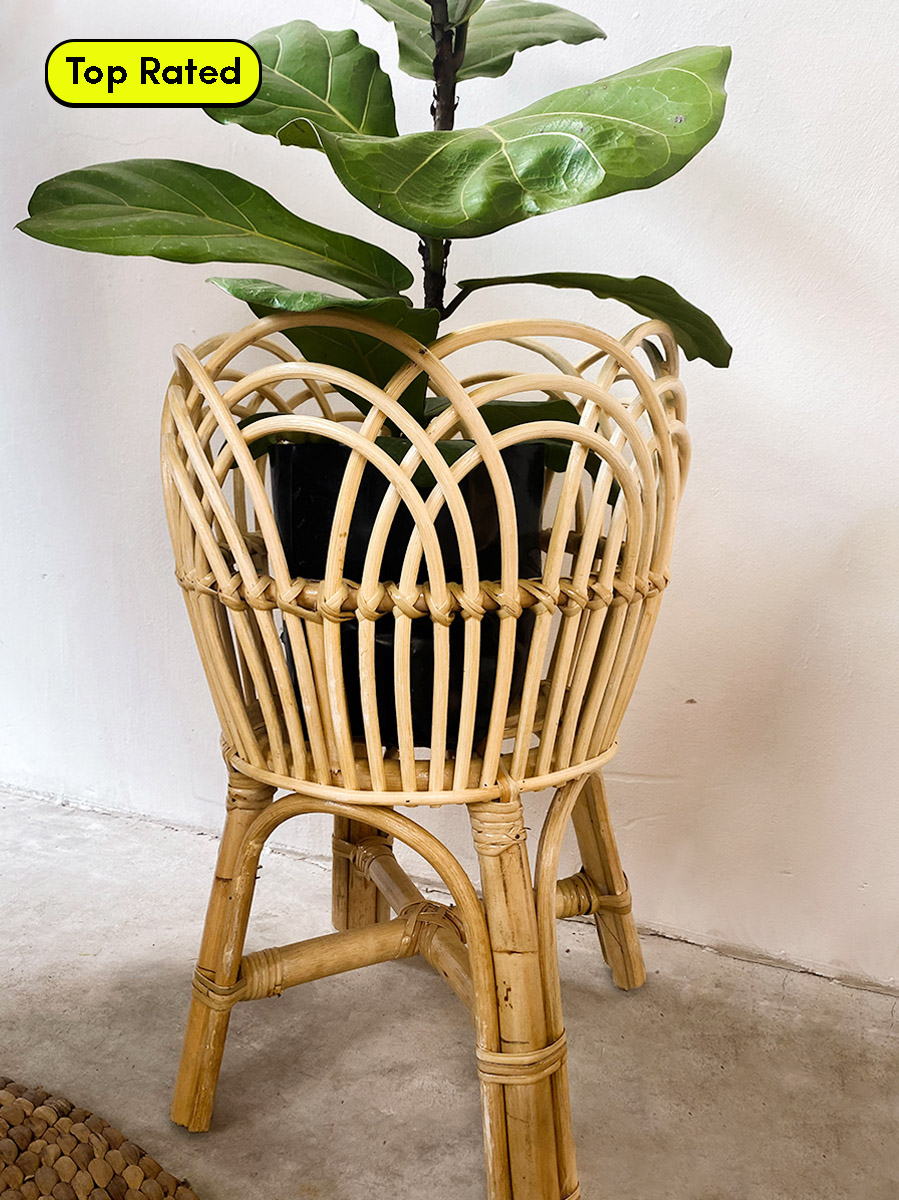 Lily Rattan Plant Pot