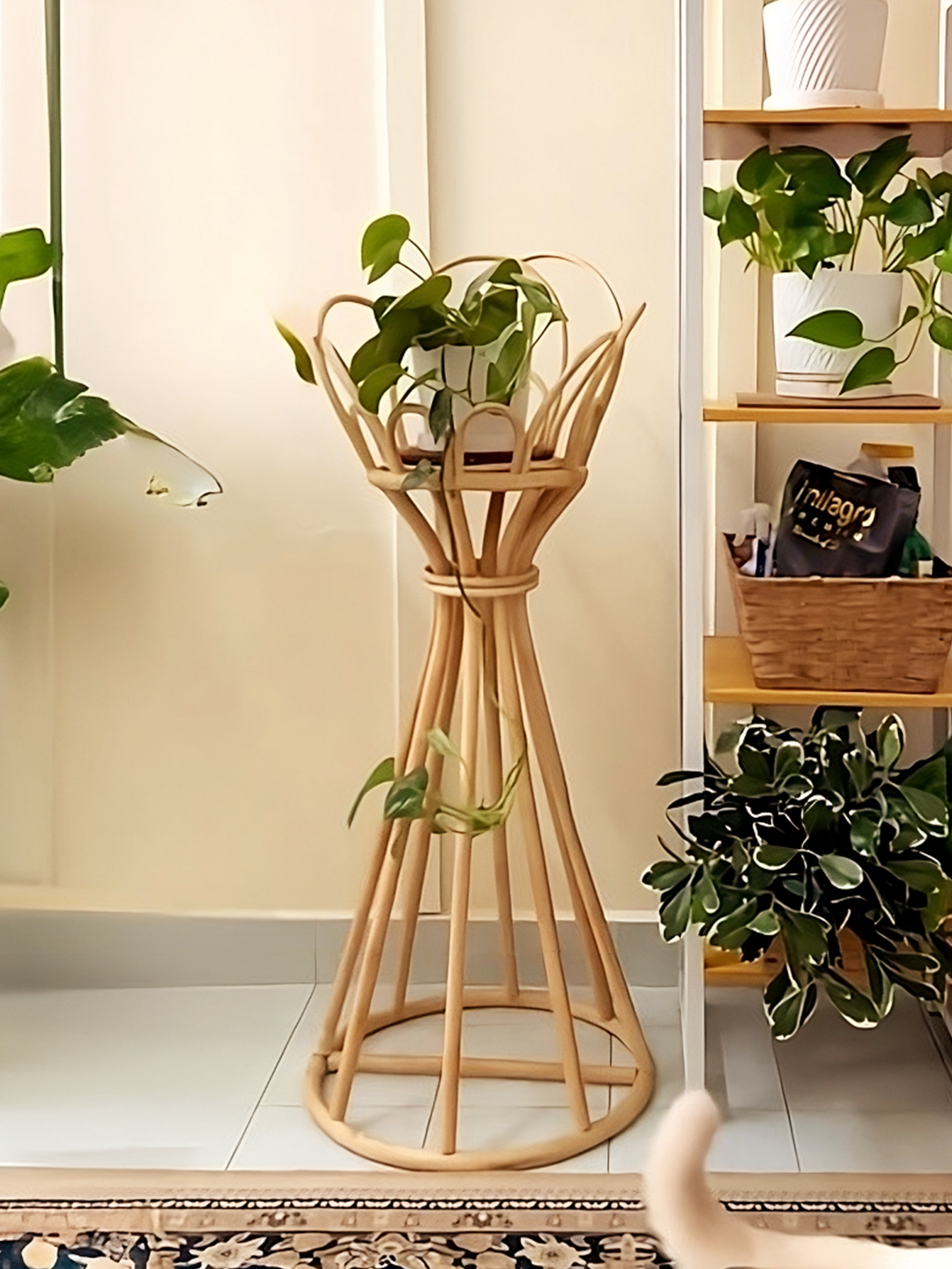 Storage Baskets + Pot - Booming Plus