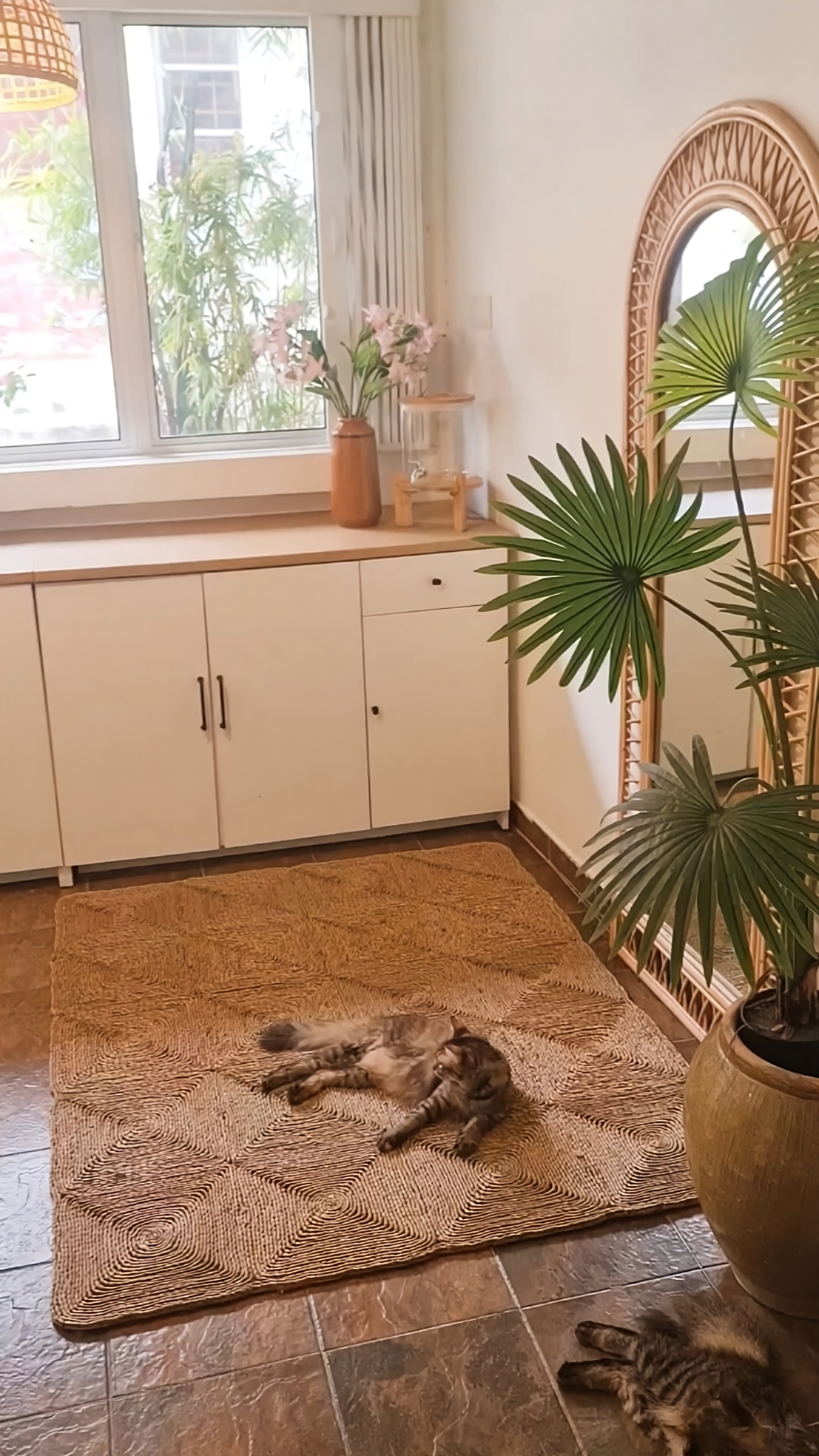 large-image-with-text-box