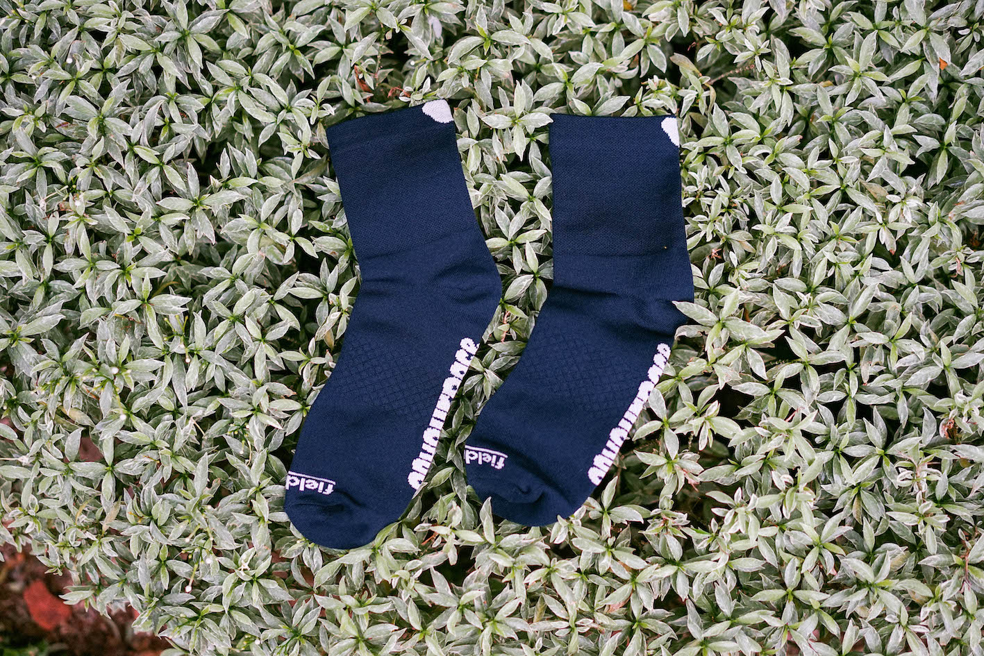On Your Pace Socks