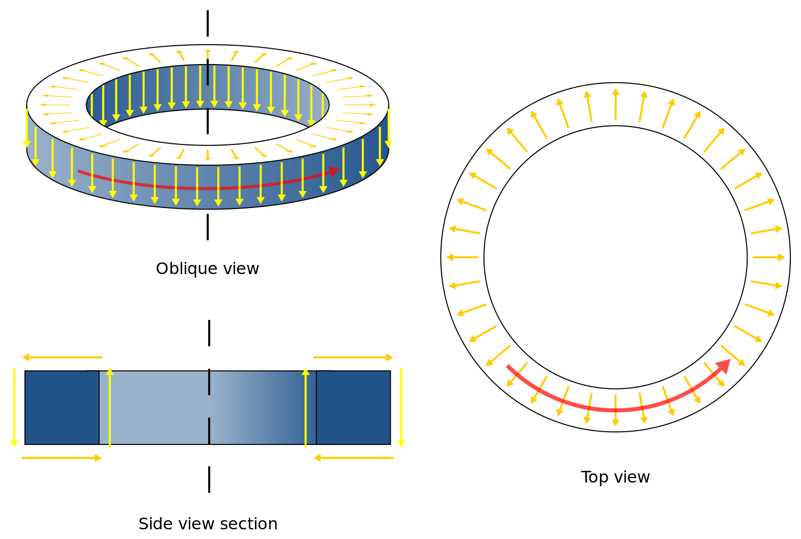 How the mysterious toroidal coil works？